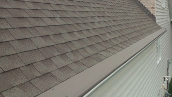 Roof with gutter on the side of a house.